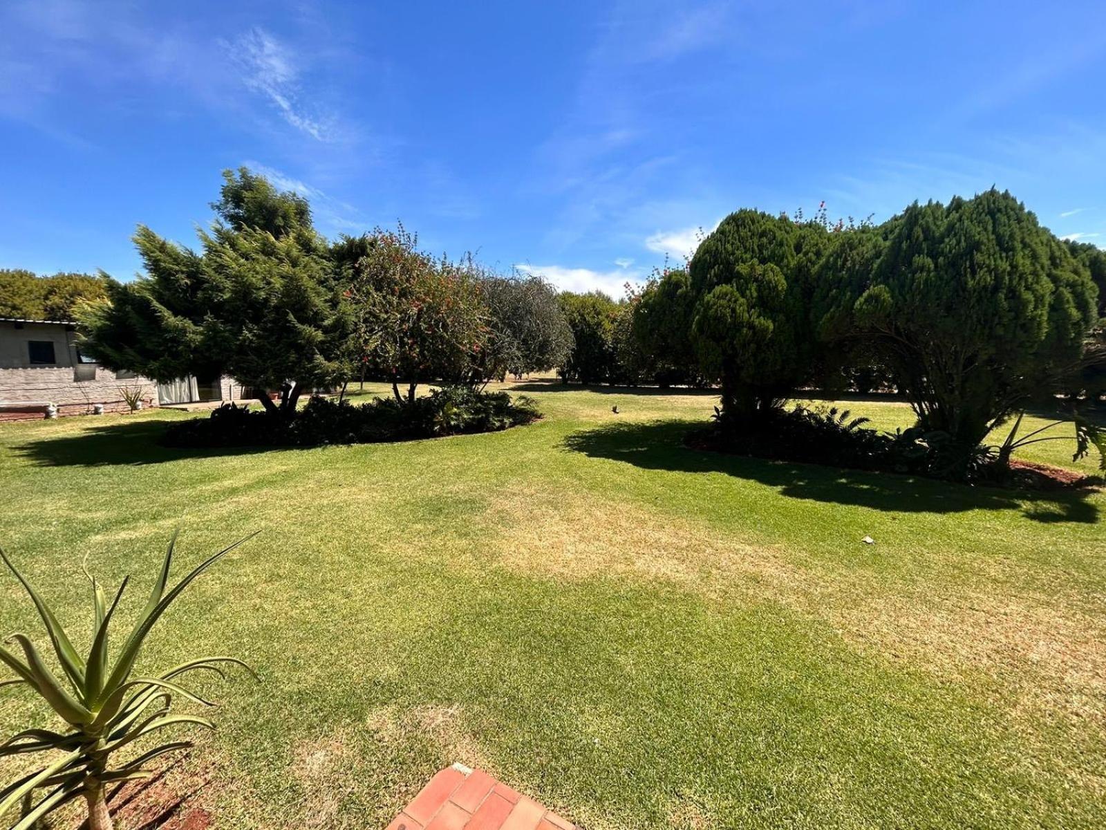 Aloe Tree Guest House Krugersdorp Buitenkant foto