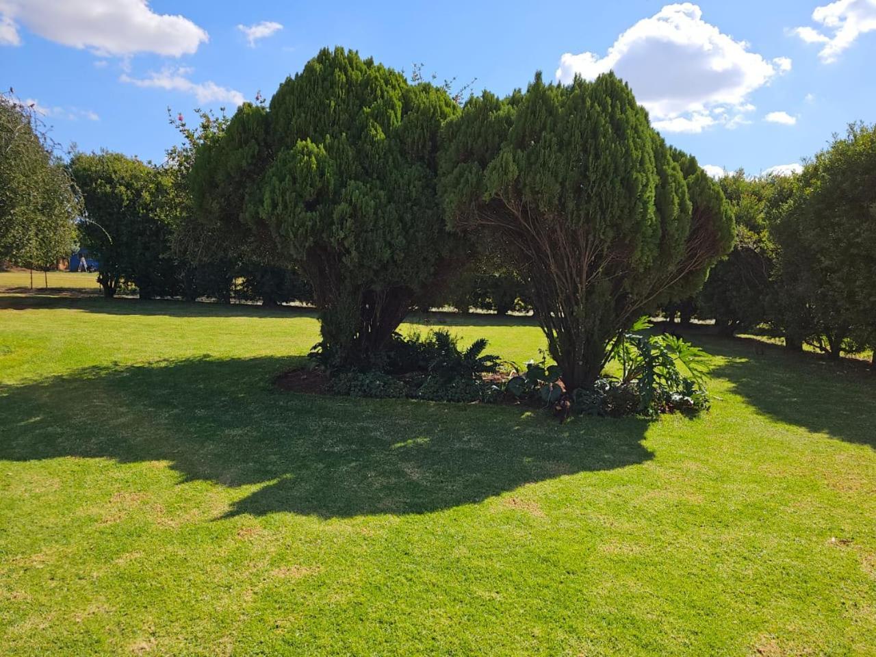 Aloe Tree Guest House Krugersdorp Buitenkant foto